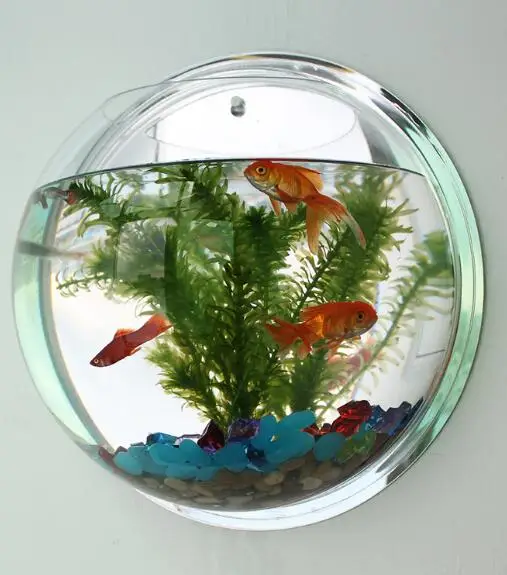 Large PMMA Flower Bowl Terrarium Wall Mounted Clear Acrylic Hanging
