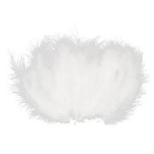 SZS хит 200 х куриное перо с Острым Хвостом бархатные перья 10-15 см белые