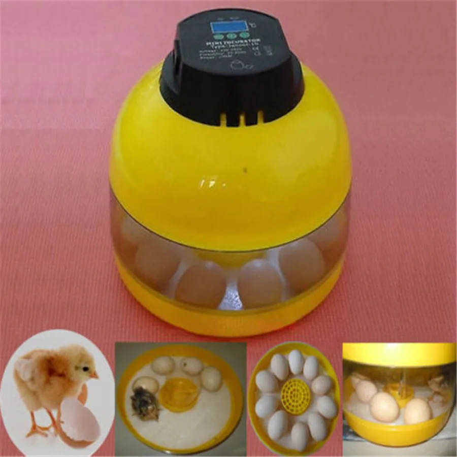 

10-Egg Egg Candler Poultry Egg Incubator Chicken Goose Quail Duck Mini Egg Incubator