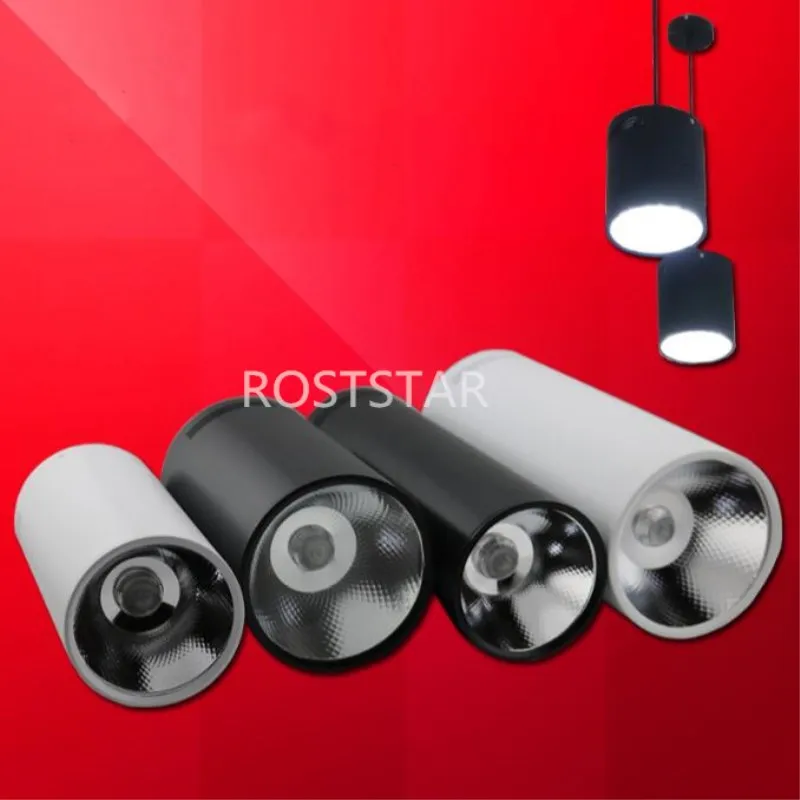 

10W 15W 20W 30W Surface Mounted dimmable Downlight COB LED SPOT lighting Led ceiling down +LED Driver