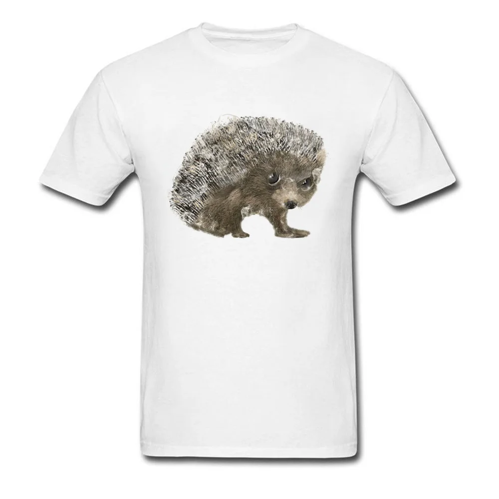 little hedgehog_white