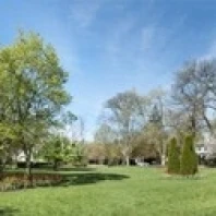 Tulips with trees at Sherwood Gardens  Baltimore  Maryland  USA Poster Print (18 x 7)