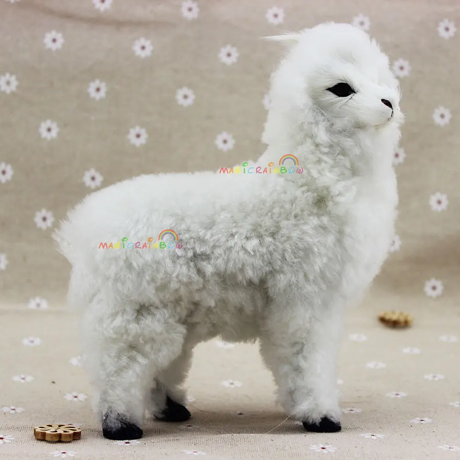 m_Alpaca (2)