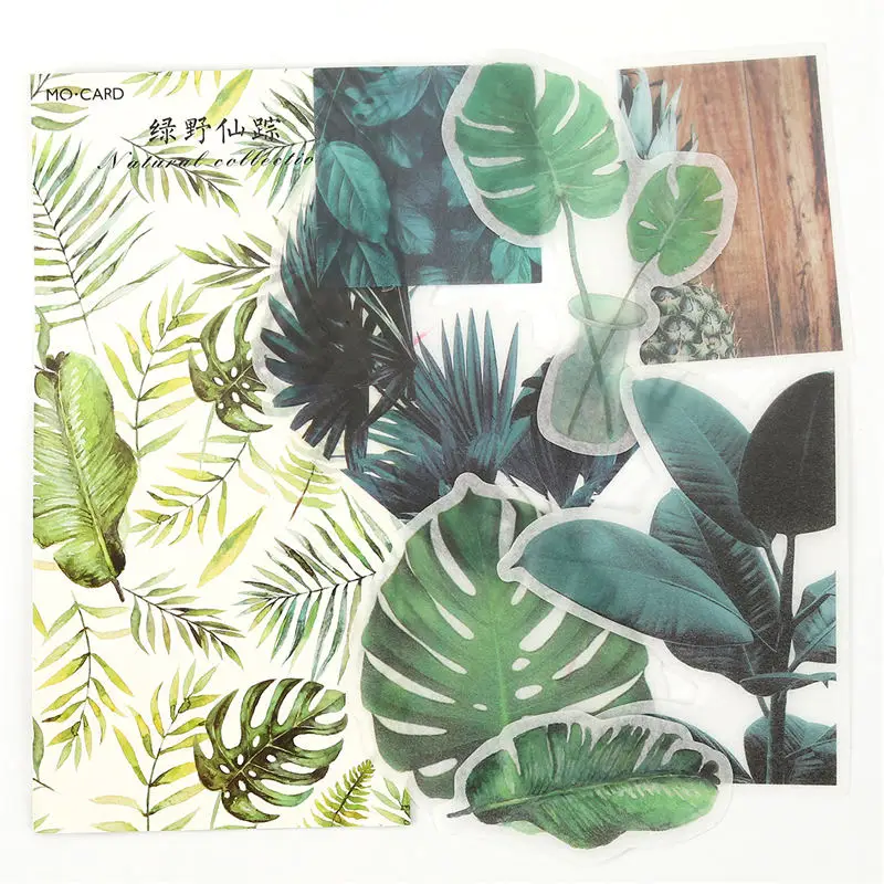 

Decorative Paper Sticker Mixed Leaf Green Plant Simple Gift Package Baking Label DIY Scrapbook Deco 11*8cm 5.5*5.5cm 60 PCs/pack