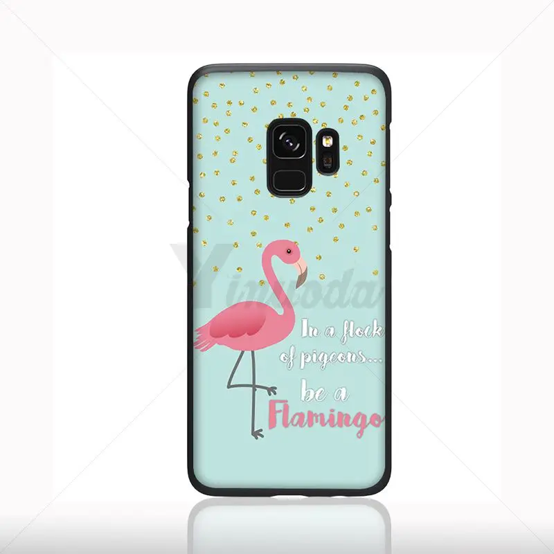 Colorful Flamingo