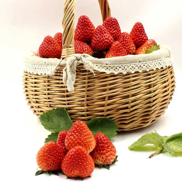 400 Toscana Strawberry Seeds Rare Fragrant Sweet & Juicy NON GMO