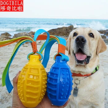 

Dog, pet, toy ball, Teddy Fiddler, puppy, Jinmaolabuladuo, big puppy, teeth, bite