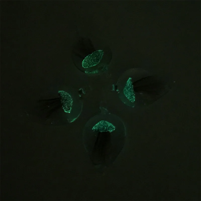 1187500-1