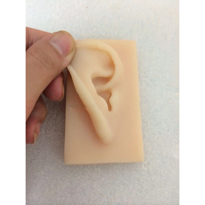 Ушная модель в натуральную величину силиконовая Ушная иглоукалывающая практика модель для симуляции ушей правого и левого типа