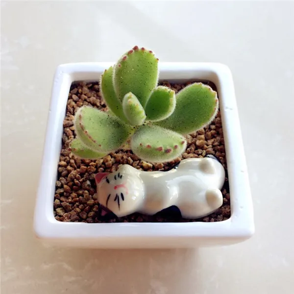 Cute Japan Lucky Cats Kitten Chopsticks Stand Rest Ceramic Figure Toys 6pcs - Buyer's Show 10