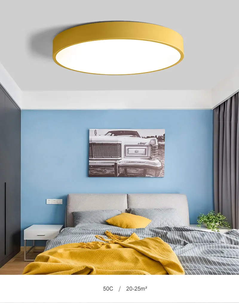 Modern Minimalist Ultra-thin 5CM LED Ceiling Lamp Multicolor Art LED Ceiling Light for Living Room Children's Room Coffee Shop (11)