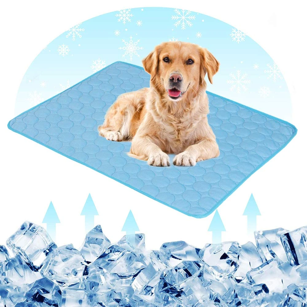cool dog beds for summer