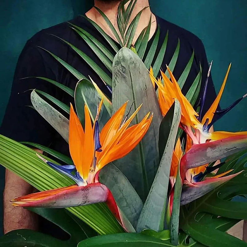 Artificial Flower Bird Of Paradise Fake Plant Silk Strelitzia Living Room Decors
