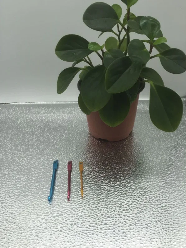 3049498860_1275489929