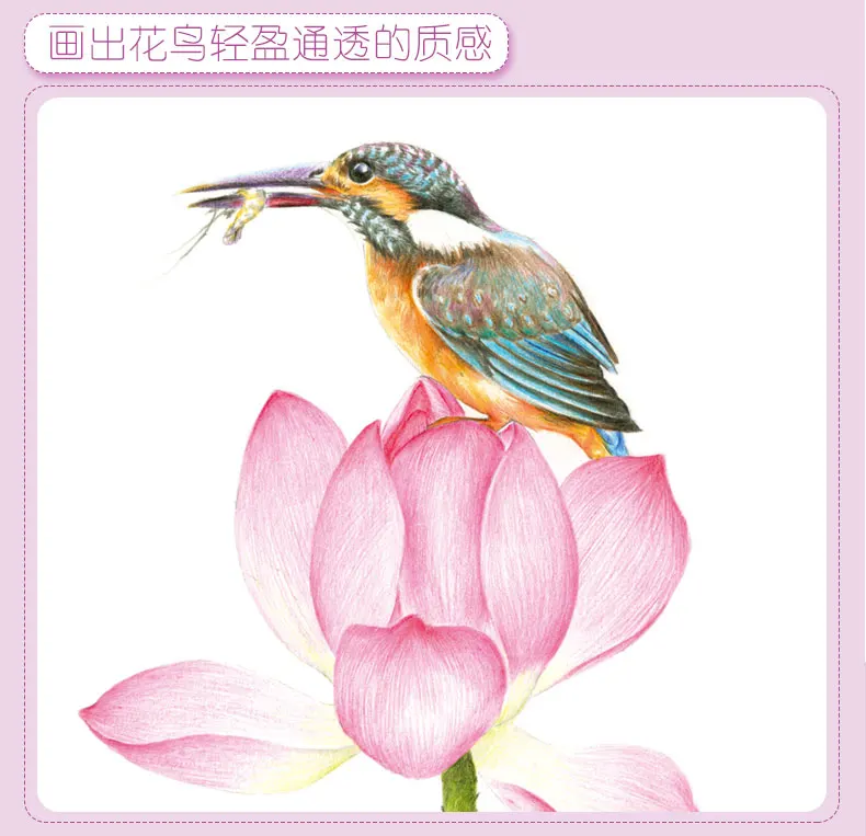 20190324_094549_054
