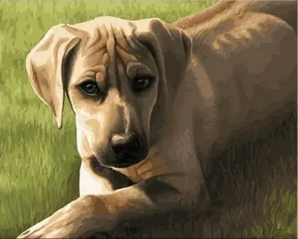 ridgeback abstract animals diy painting by numbers hand painted oil painting for wall art picture home decoration[1]
