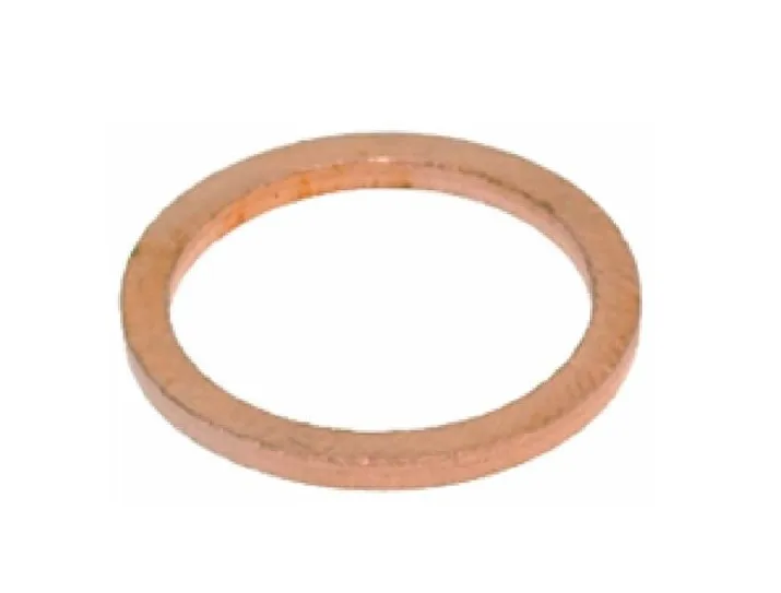 Guarnizione Caldaia Macchina da Caffè Rancilio Saeco Bravilor 36405001