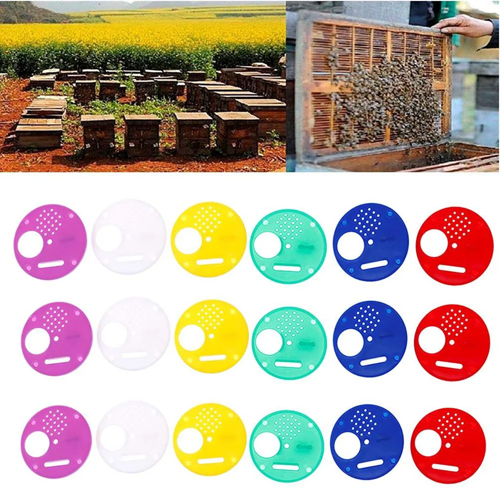 5pcs Plastic Hive Entrance Nest Gate Door Beekeeping Equipment