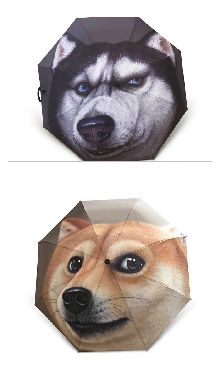 4187261399_226949168