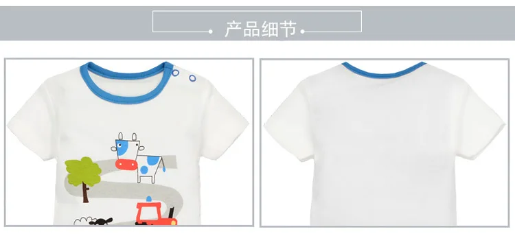 3103770638_809576626