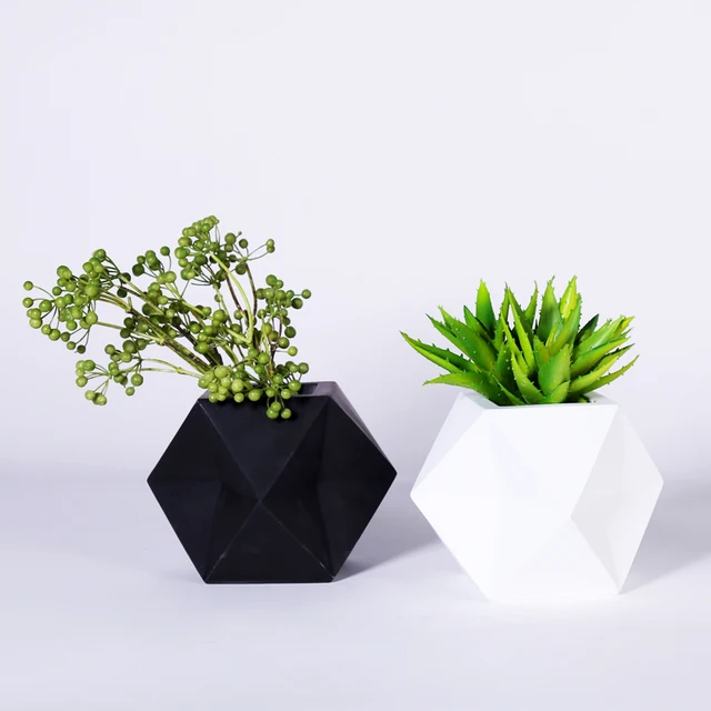 planter une fleur dans un pot