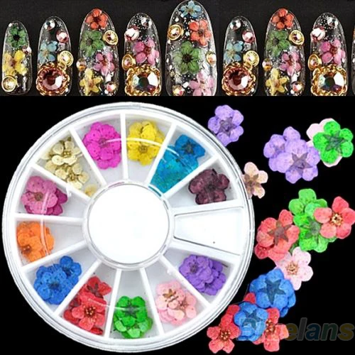 

36pcs 3D Nail Art Sticker Dried Flower DIY Tips Acrylic Decoration Wheel 7GV6