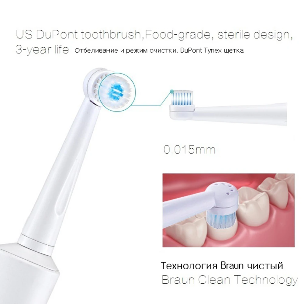 tooth (3)