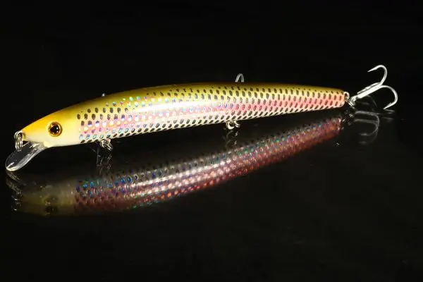 noeby minnow