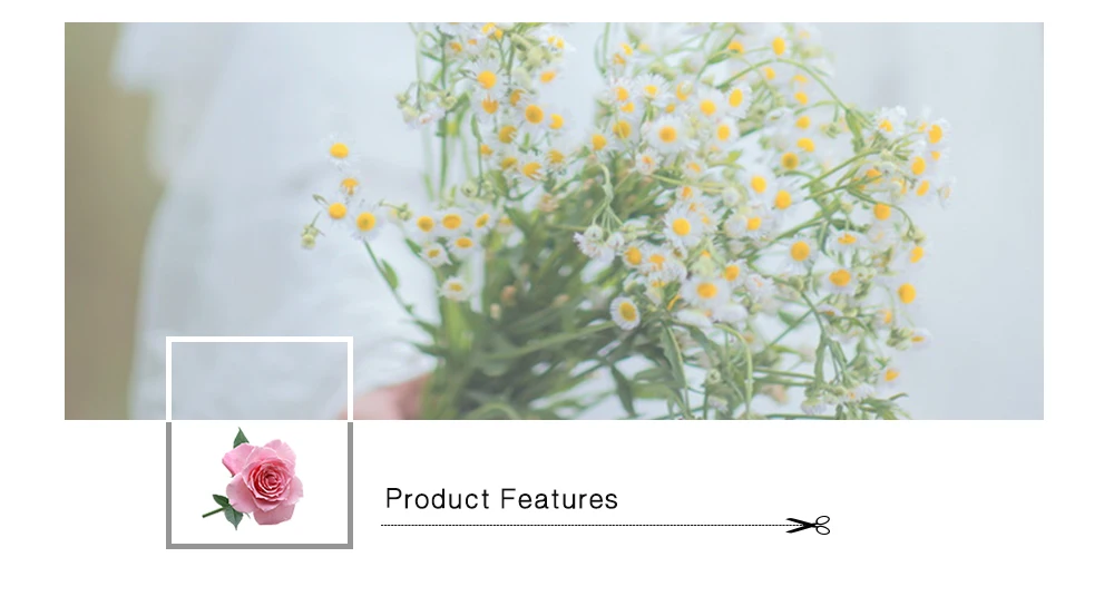 20170303191113_66491