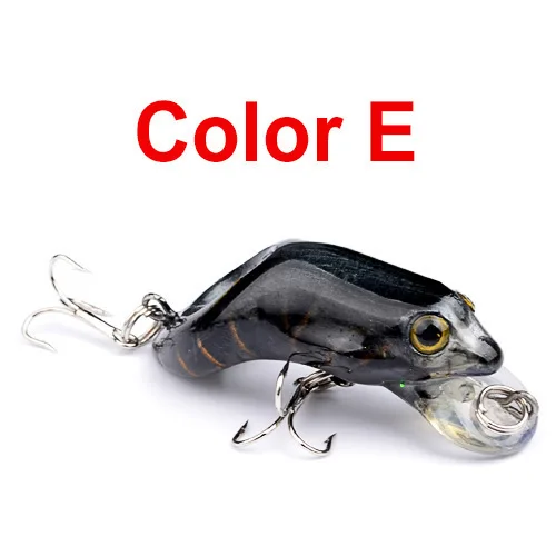 E.jpg
