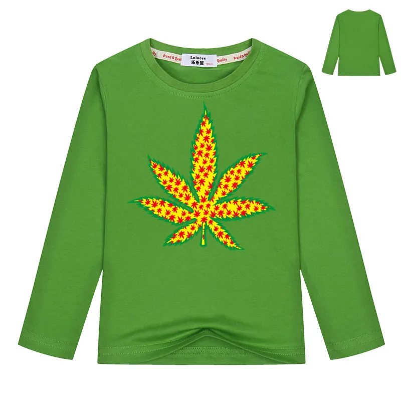 Boy Green T shirts Children Tee Shirts Spring Baby Boy Novelty Reggae Leaf T shirts Tops Autumn