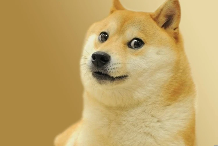 Doge Бог надоедливая собака головоломки 1000 шт. «под дерево» для взрослых; сердечно-сосудистые заболевания психического похороны бум загрязнения эрху яйца