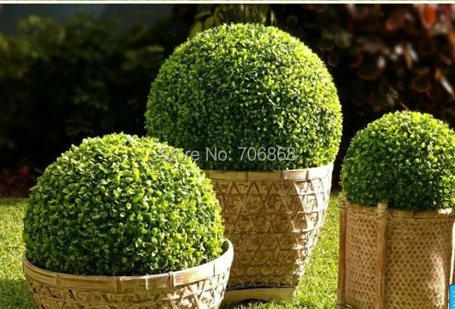 grass ball.jpg