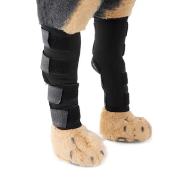 

Hot Dog Accessories Cat Knee Joint Leg Protector Calf Brace Support For Avoiding Injury Goods For Dogs