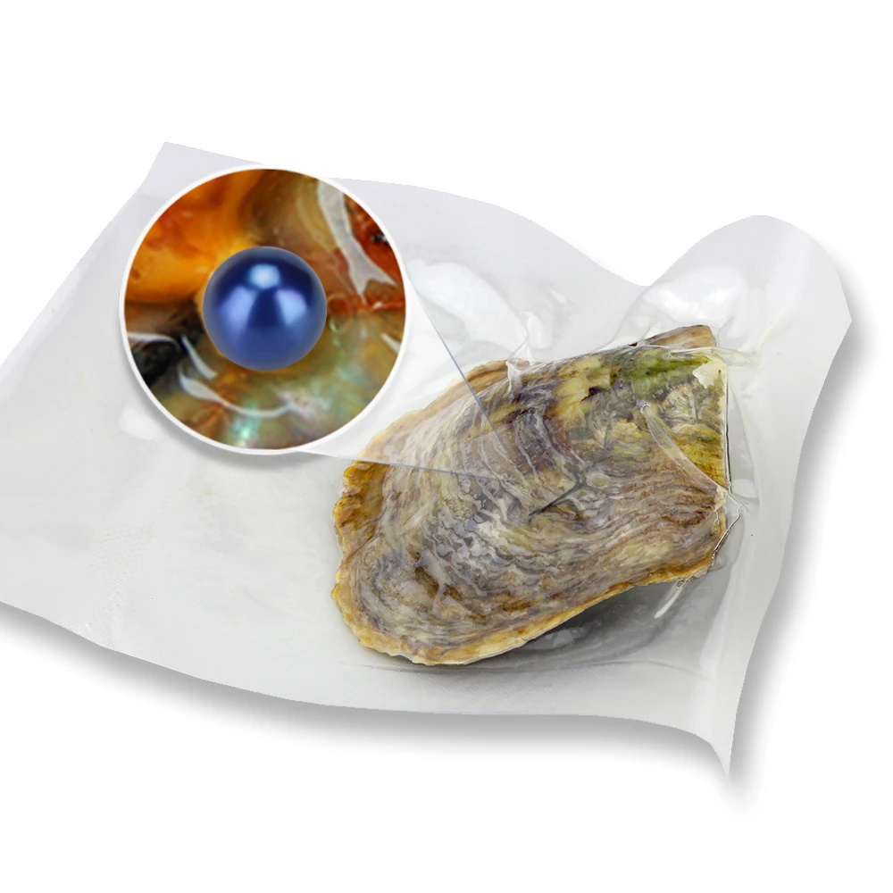 CLUCI free shipping, get 40 pearls from 20pcs 6-7mm AAA Blue Round Akoya Oysters, Twins Pearls in one Oysters CLUCI free shipping, get 40 pearls from 20pcs 6-7mm AAA Blue Round Akoya Oysters, Twins Pearls in one Oysters