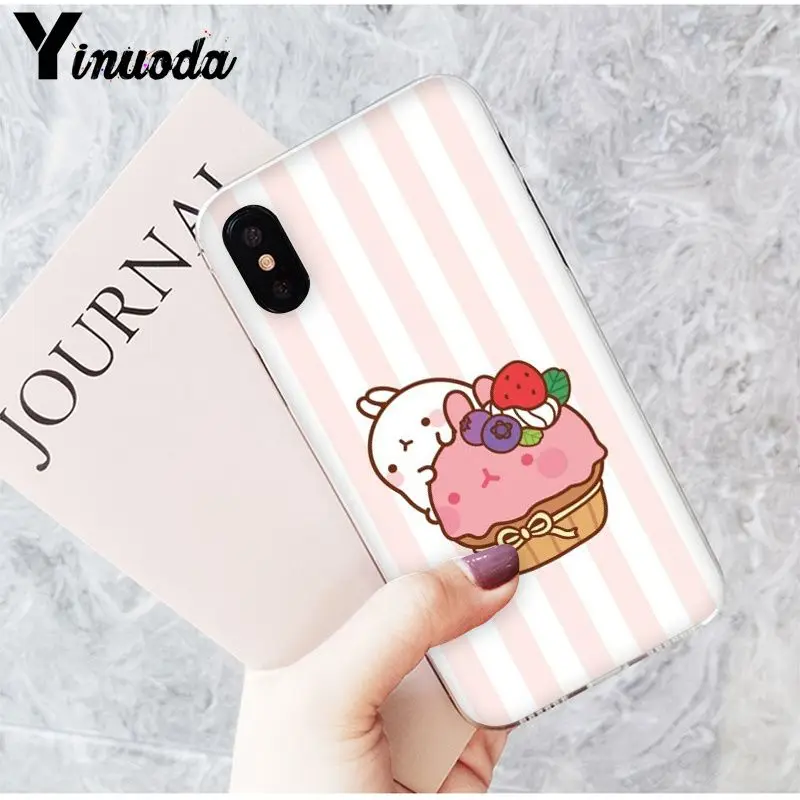 Funny and cute cartoon rabbit