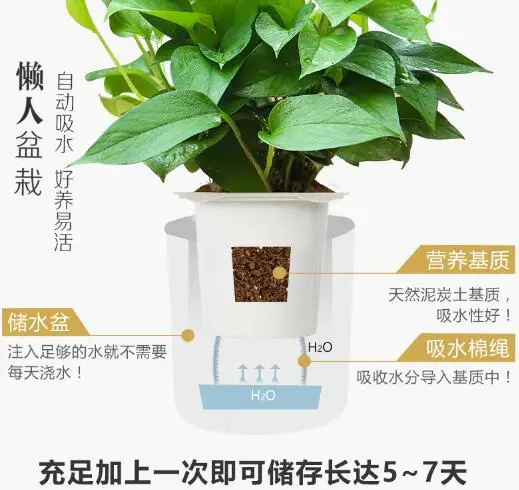 QQ20180915110956