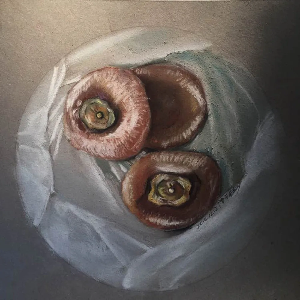 Профессиональные мягкие пастельные карандаши Artist 12 рисунок lapis de cor цветные для