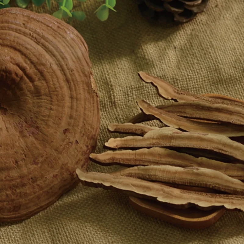 1kg Chinese Dried Lingzhi Mushrooms Tea Medicine Anti aging Ganoderma