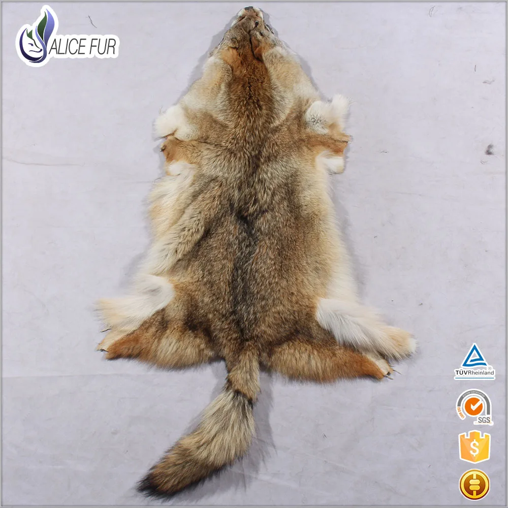 Мех пушнина. Беличий мех. Беличья шкурка. Пушнина белка. Беличья шкурка.