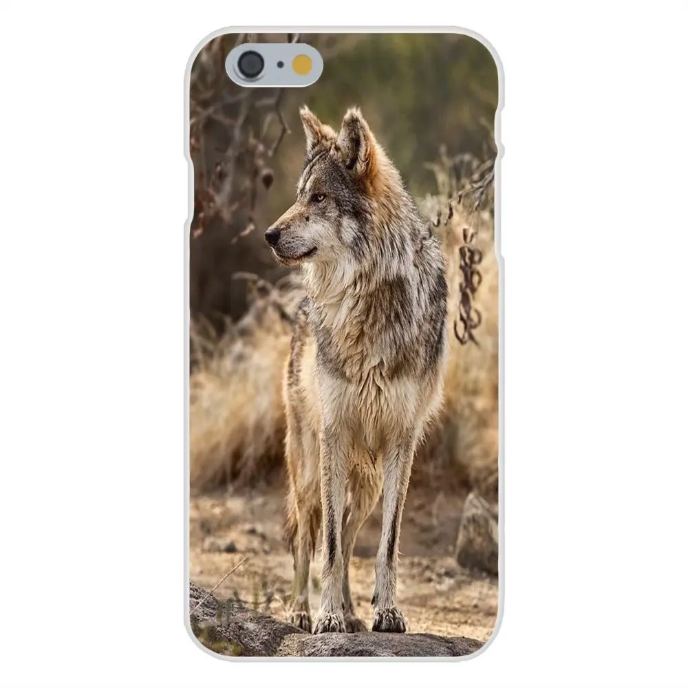 20171230170856_dSsxB