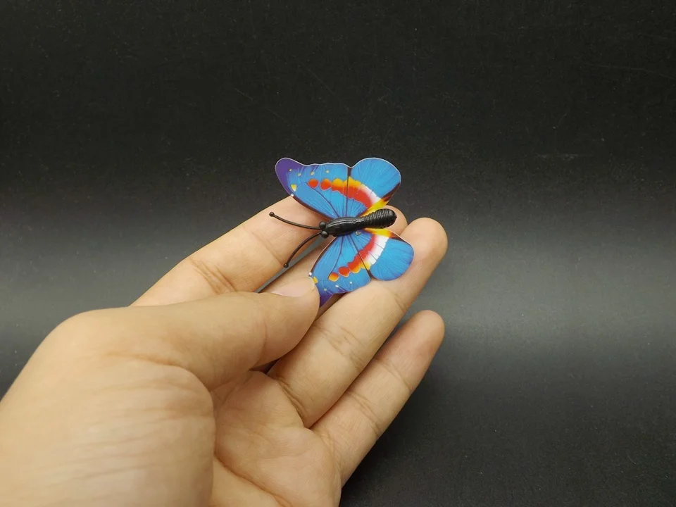I266-Butterfly (2)