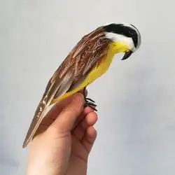 Настоящая жизнь игрушка птица перья птица около 23 см vivid птица Pitangus sulphuratus модель рукоделие украшения сада реквизит h0942