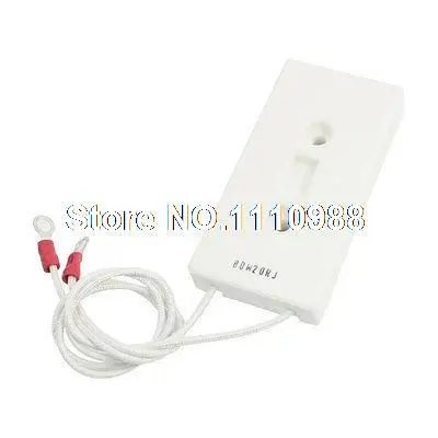 

31cm Long Wire 5mm Hole Dia 80W 20Ohm Ceramic Wirewound Cement Resistor