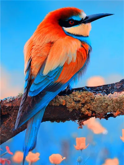 11_