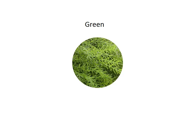 1 (1)