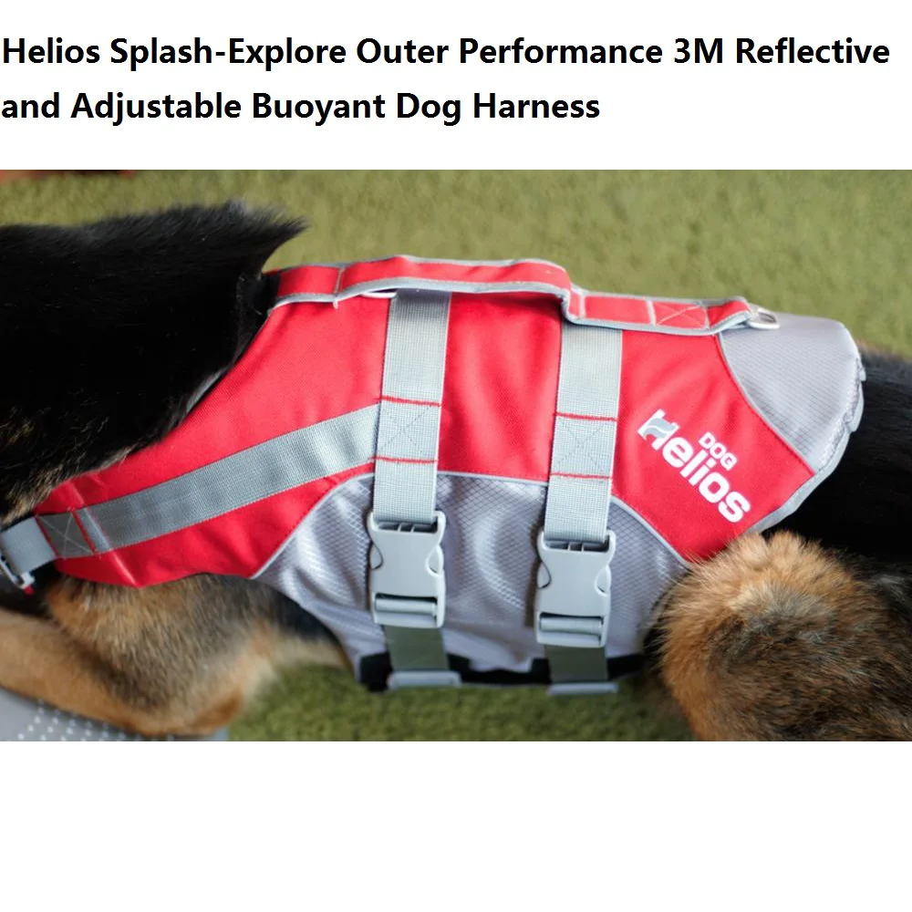 dog helios life jacket
