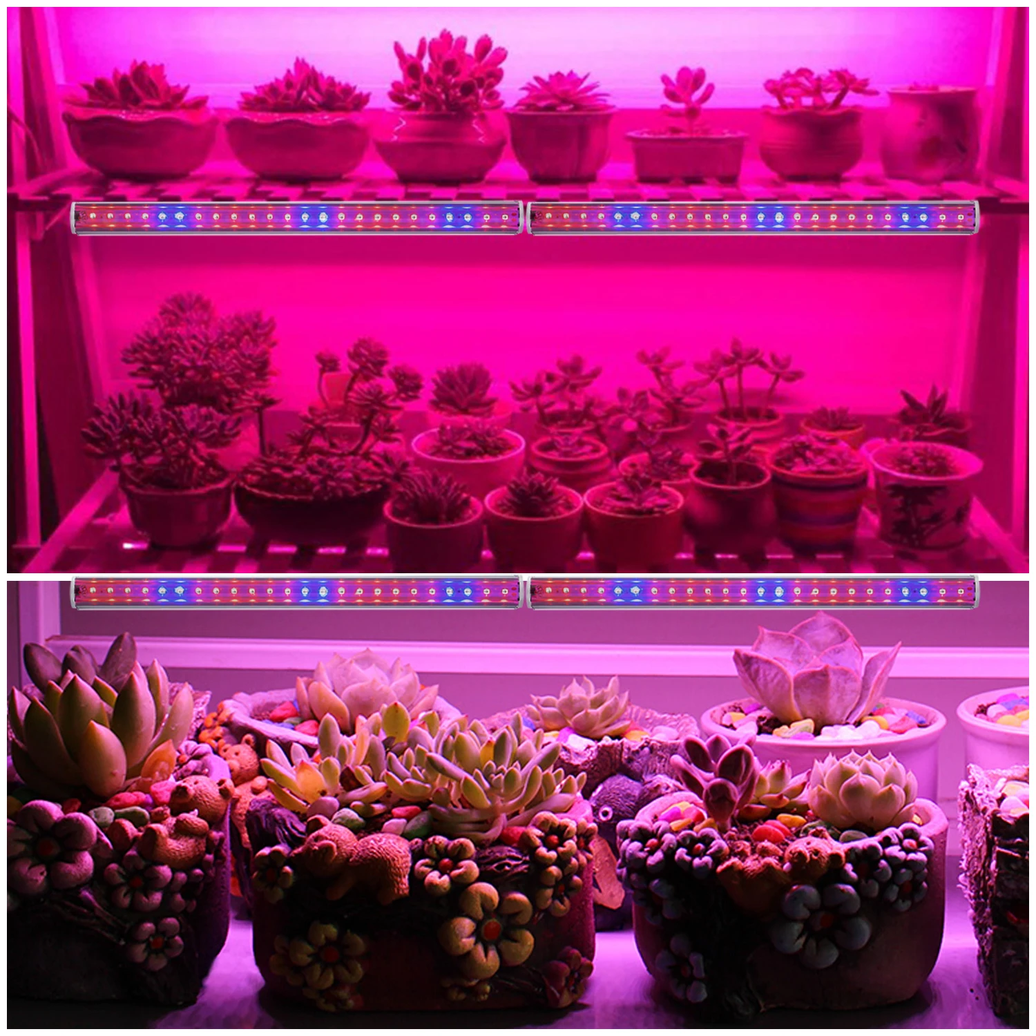 Светодиодный светильник для выращивания растений, полный спектр, лампа для комнатных растений, AC85-265V лампа T5, лампочка-бар, светильник 2835 Чип и США/ЕС для растений