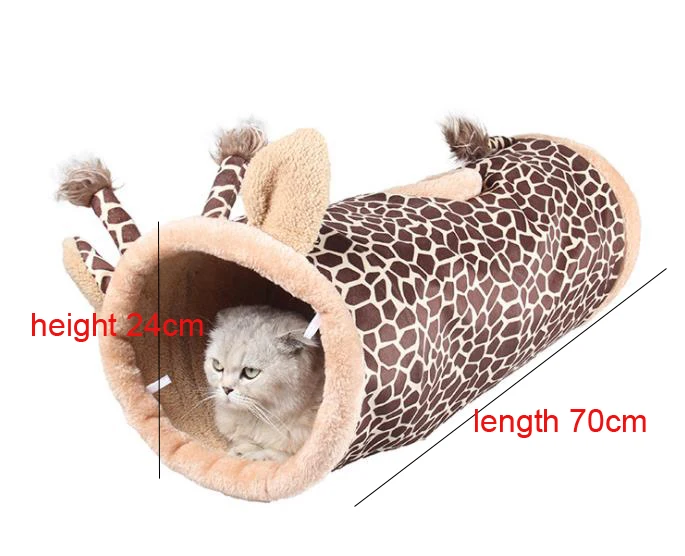 36020181220142505546