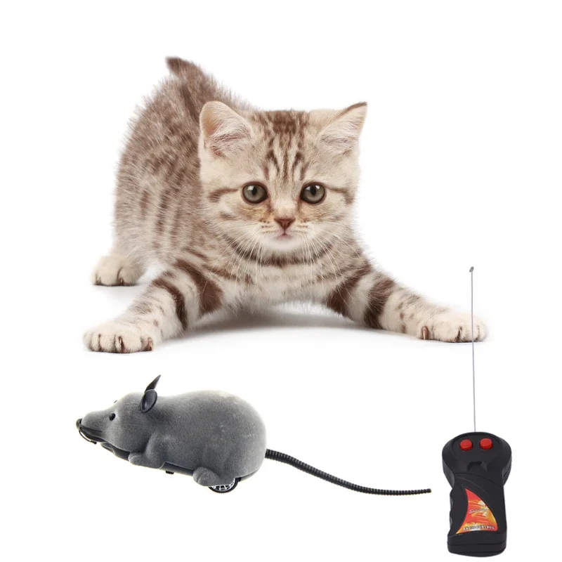 remote control mouse prank